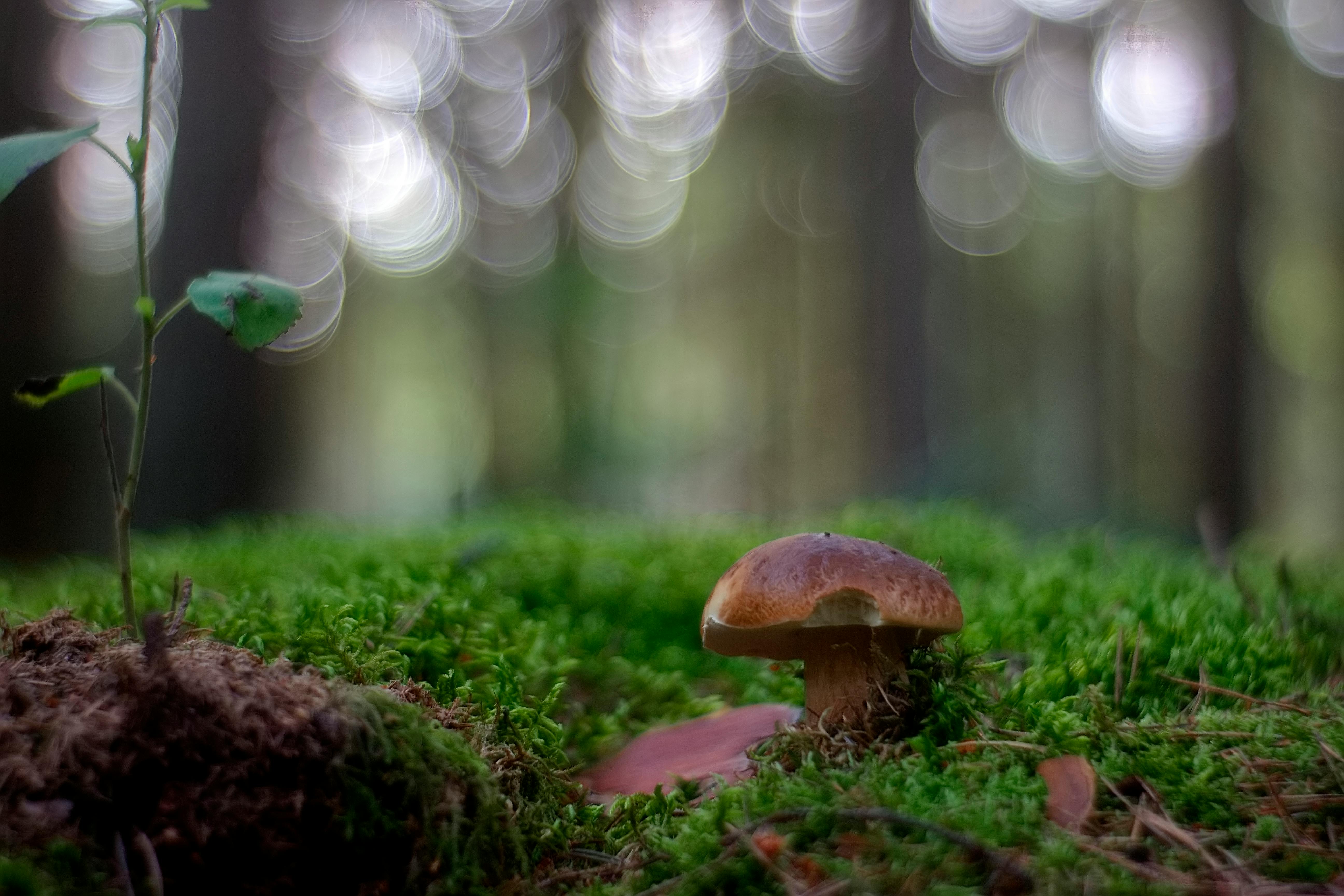 Global FID Outlook 2026: What Will Actually Reach Sanction (and Why)